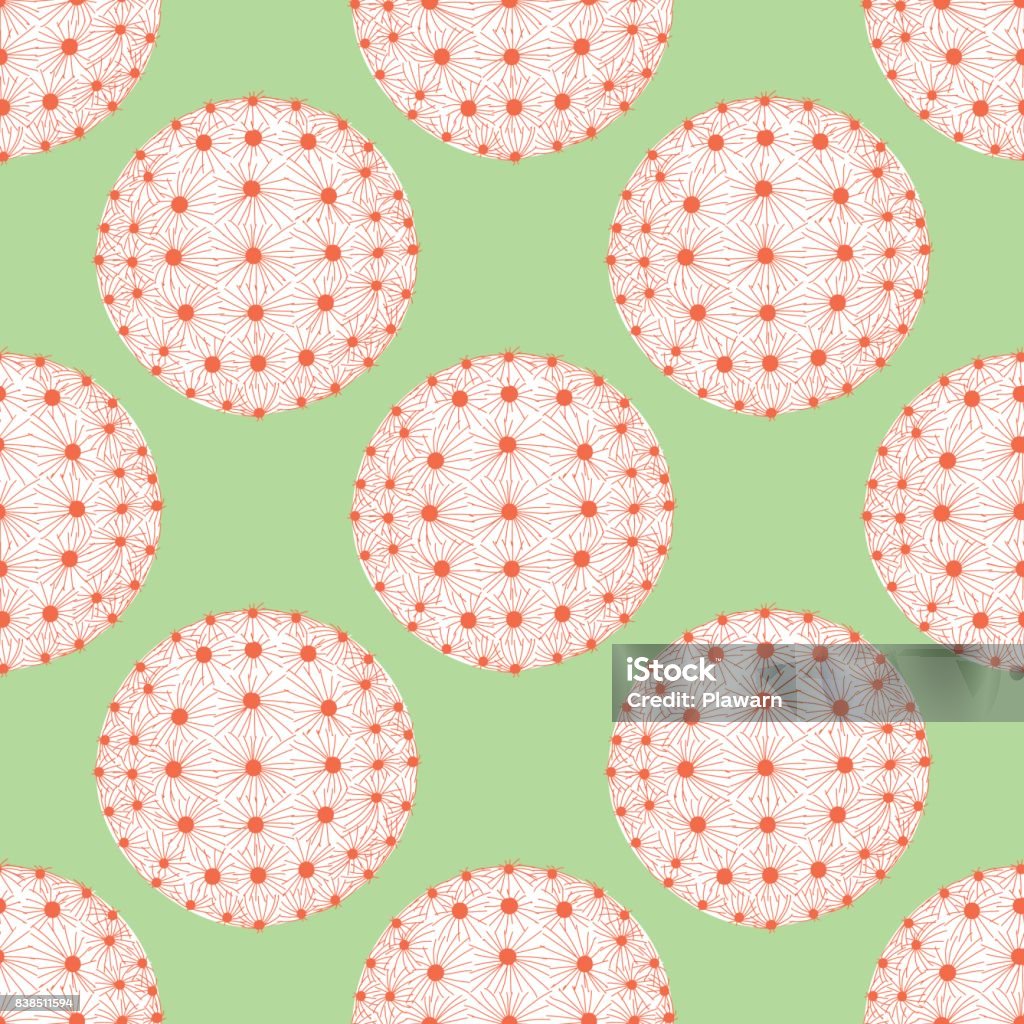 Xương Rồng Hình Tròn Trong Chấm Đỏ Và Đường Trên Mặt Phẳng Màu ...