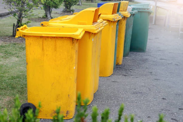 istock Yellow and green bi in the park 838515316