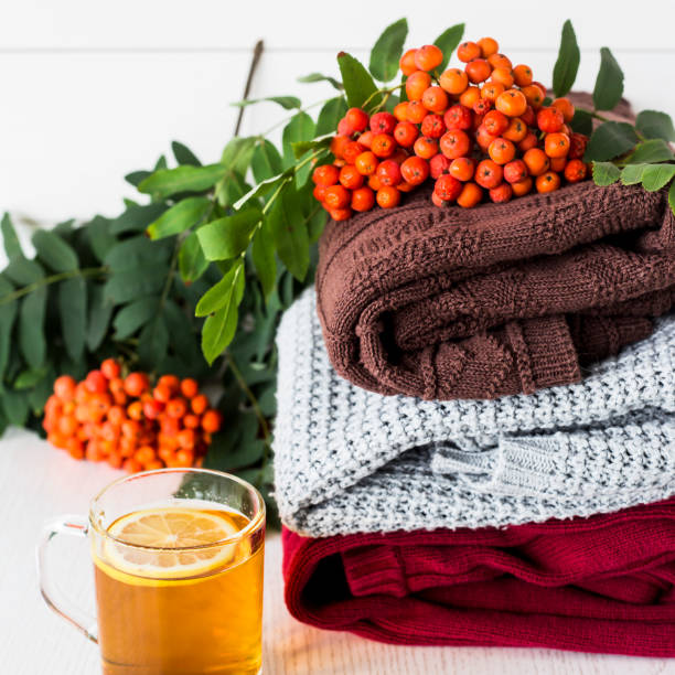 istock A stack of autumn sweaters with rowan and tea on a white background 838515488