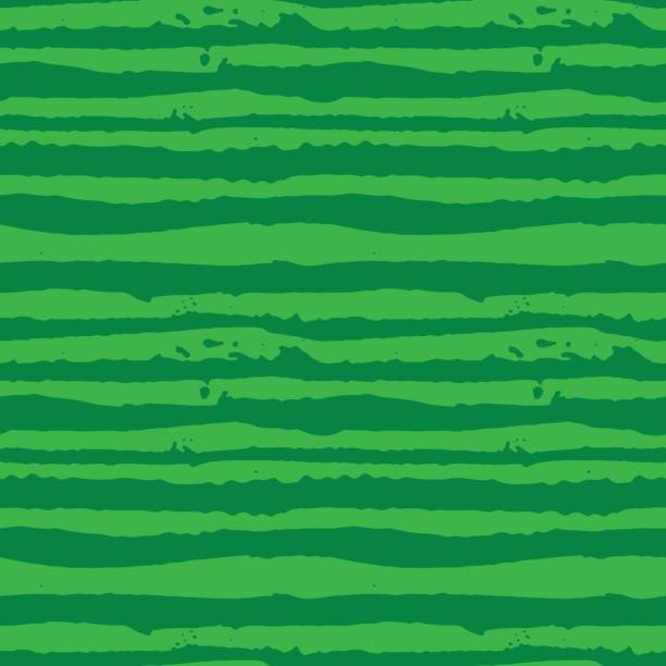 ilustrações de stock, clip art, desenhos animados e ícones de vector illustration green watermelon striped seamless hand drawn pattern. - watermelon