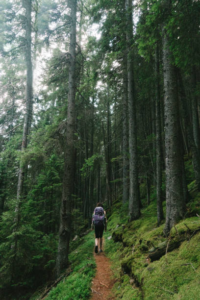 istock Woman hiking in forest covered with moss in mountains 838526694