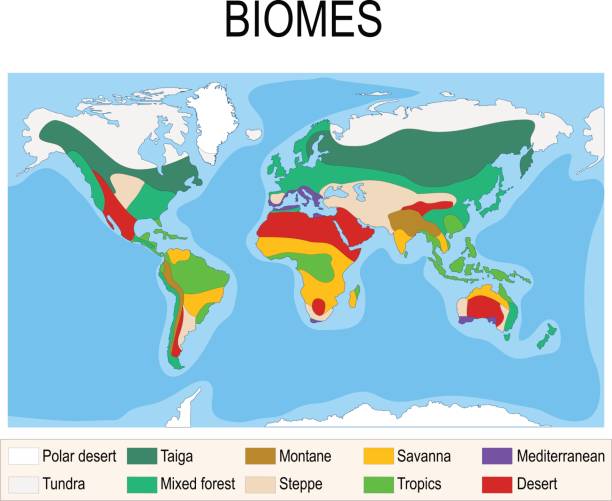 istock Biomes. Terrestrial ecosystem is a community of living organisms. 838527692