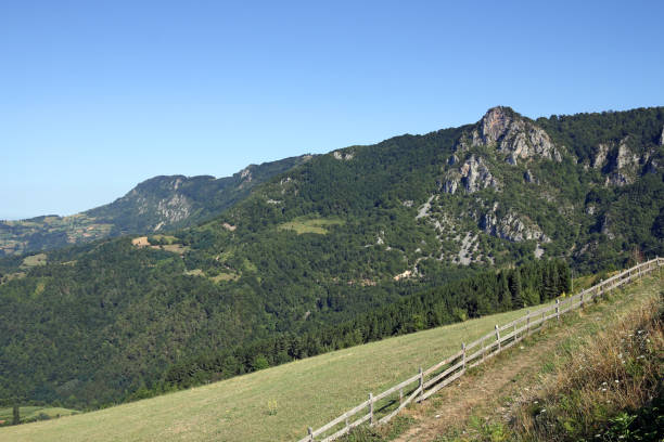 istock Mountain landscape Serbia summer season 838529334