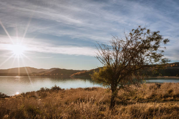 istock Sunshine over the tree at the lake 838532420