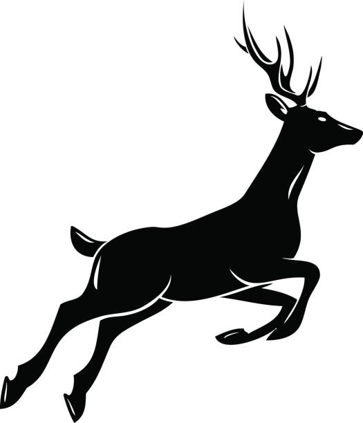 The Deer vector art illustration