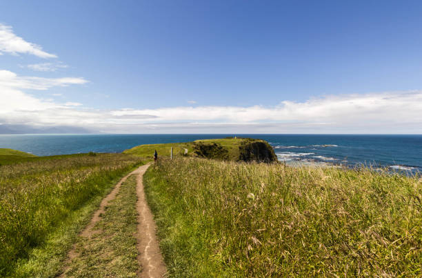 istock Kaikoura Peninsula Walkway 838550254