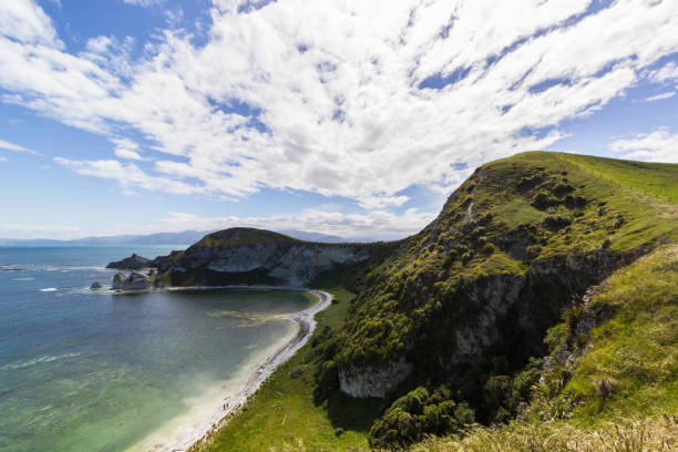 istock Kaikoura Peninsula Walkway 838551578