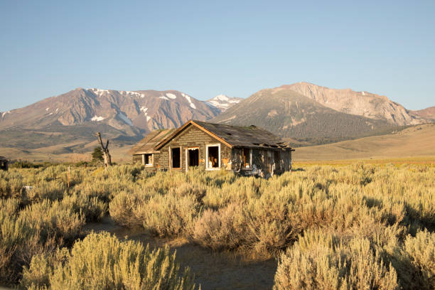 istock Abandoned home in Sierra Nevada 838563240