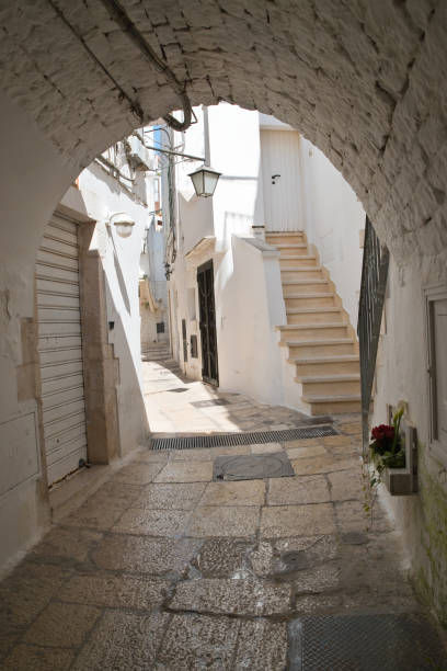 istock Alleyway. Cisternino. Puglia. Italy. 838565108