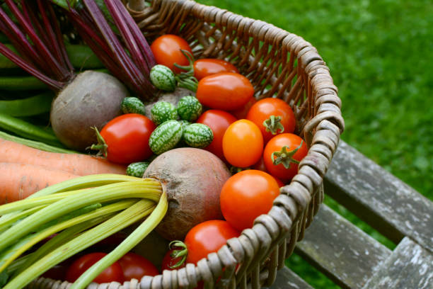 istock Beetroot, tomatoes, cucamelons and carrots in a wicker basket 838565150