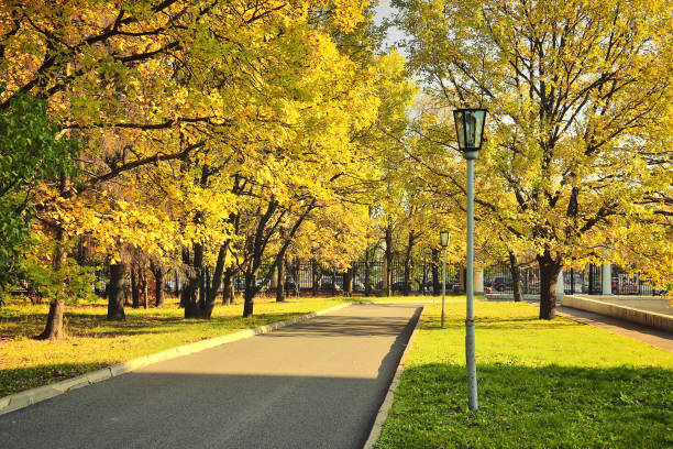 istock City square in golden autumn foliage 838565342