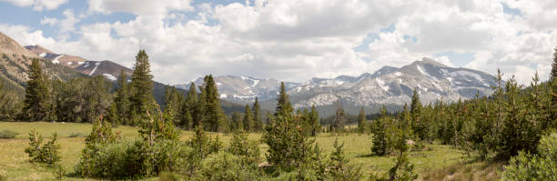 istock Dana Meadows, Yosemite National Park 838566004