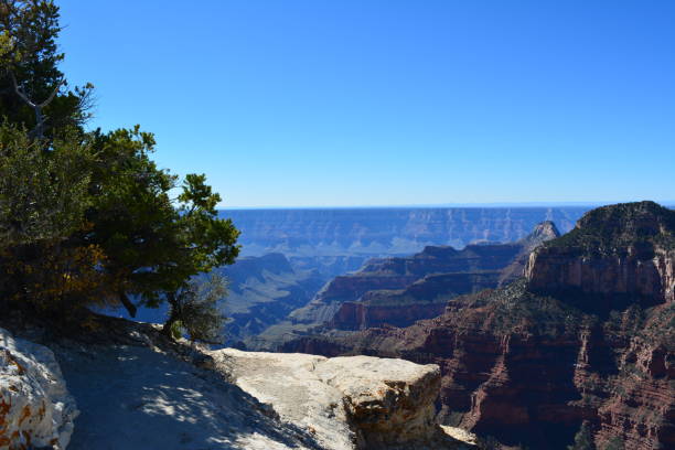 istock Grand Canyon North Rim 838568266