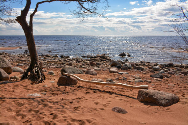 istock Gulf of Finland i 838571838