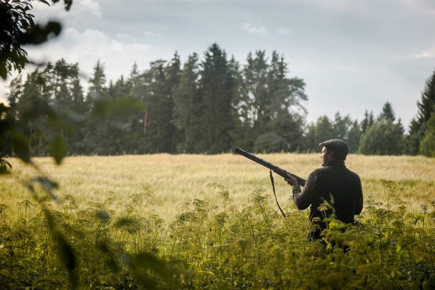 istock Hunting at golden hour 838675510