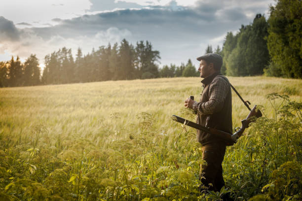 istock Hunting at golden hour 838676060