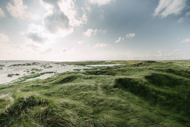 coast landscape isola di amrum - amrum summer spring island foto e immagini stock