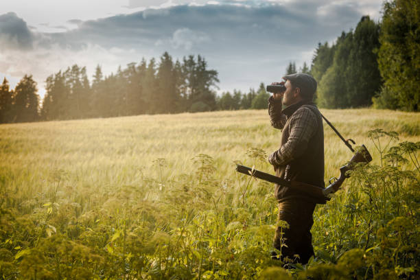 istock Hunting at golden hour 838677750