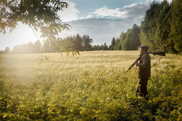 istock Hunting at golden hour 838679886