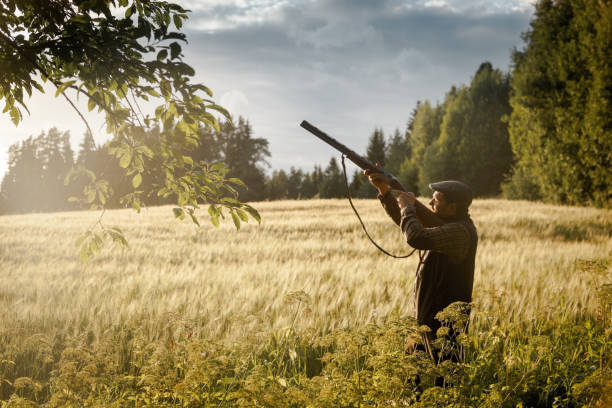 istock Hunting at golden hour 838679906