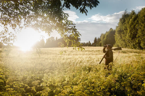 istock Hunting at golden hour 838681064