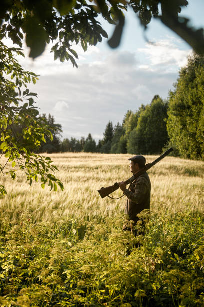 istock Hunting at golden hour 838681558