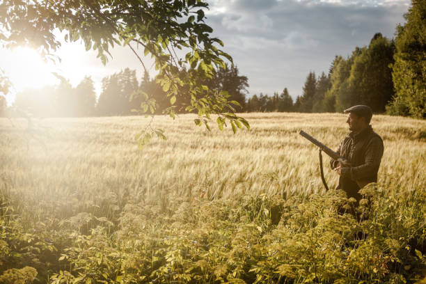 istock Hunting at golden hour 838681626