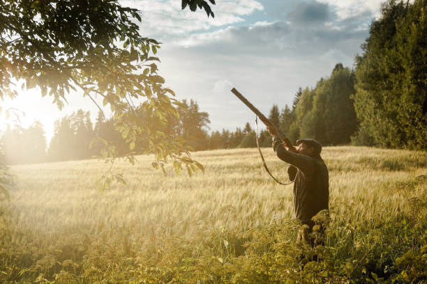 istock Hunting at golden hour 838682792