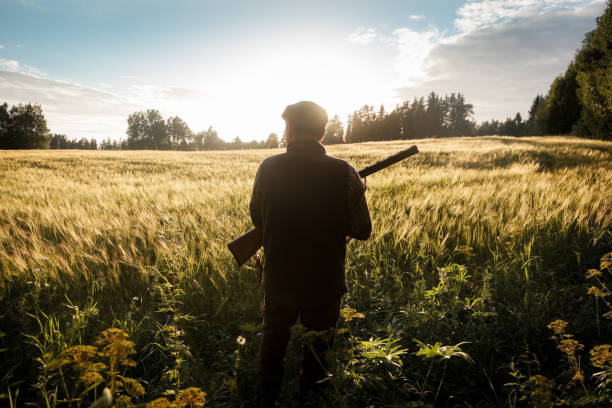 istock Hunting at golden hour 838683614
