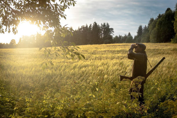 istock Hunting at golden hour 838683784
