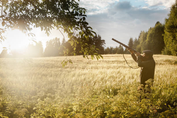 istock Hunting at golden hour 838684148