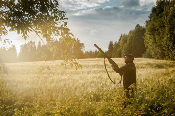 istock Hunting at golden hour 838684154