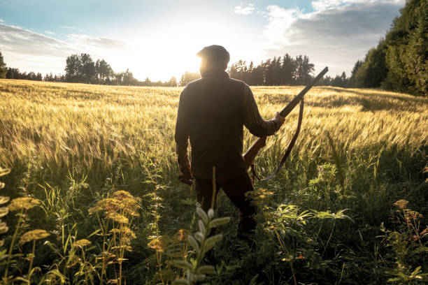 istock Hunting at golden hour 838685198