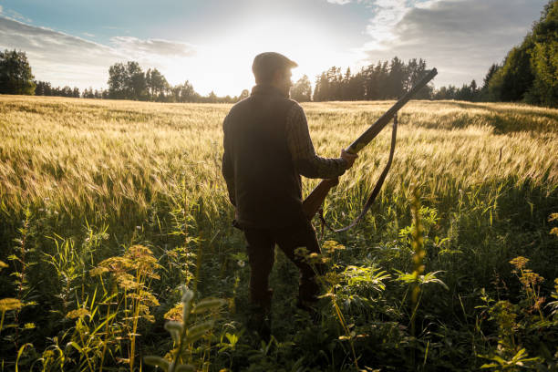 istock Hunting at golden hour 838685994