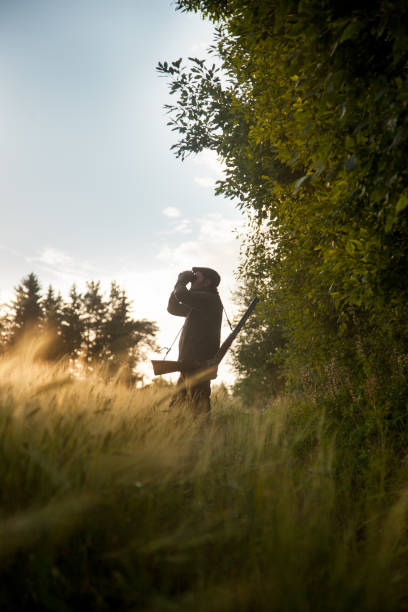 istock Hunting at golden hour 838688976