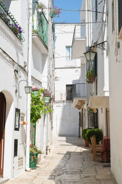 istock Alleyway. Cisternino. Puglia. Italy. 838711166