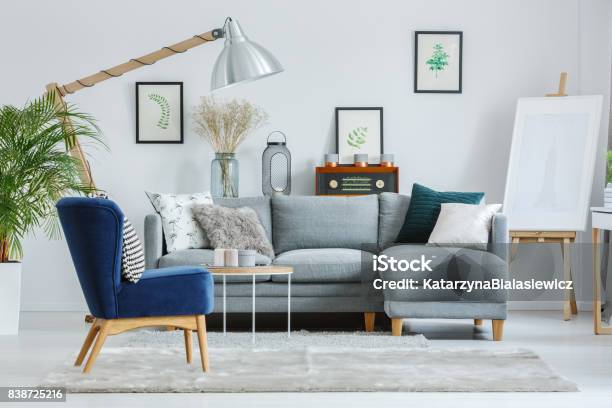 Blue Armchair On Grey Carpet Stock Photo - Download Image Now - Showroom, Furniture, Interior Decor