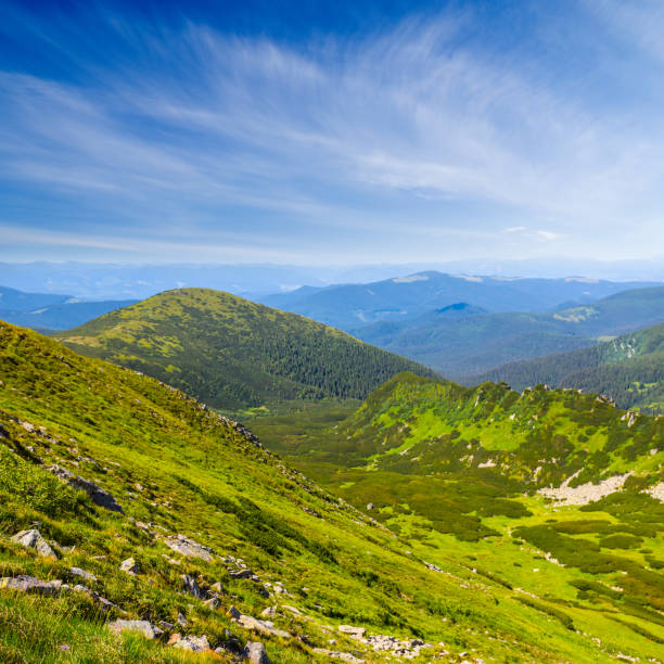 istock green summer mountain landscape, Carpathians Ukraine 838726144