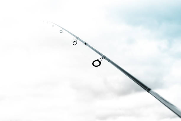 istock Fishing rod with the sky in the background 838732020