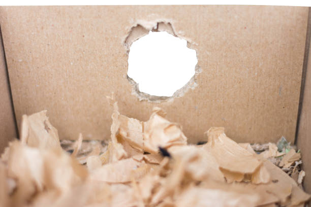 istock gnaw mark of mice on crate paper 838741418