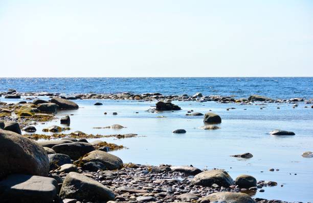 istock Stony sea shore at low tide on a sunny summer day 838741556