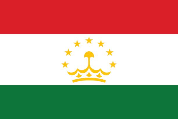 ilustrações de stock, clip art, desenhos animados e ícones de national flag of tajikistan - tajik flag