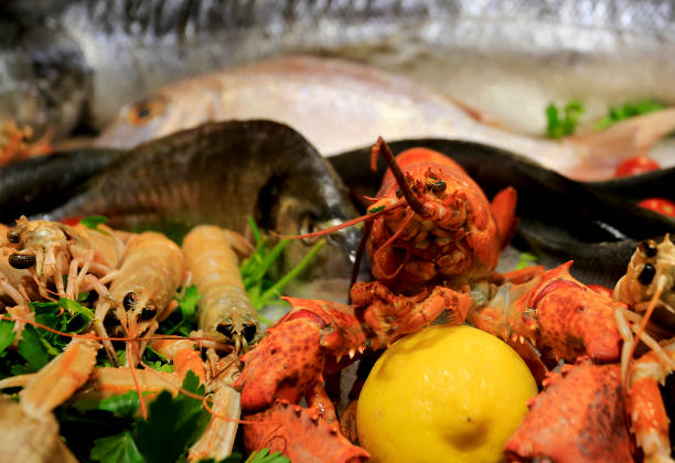 istock Lobster and friends 838749172