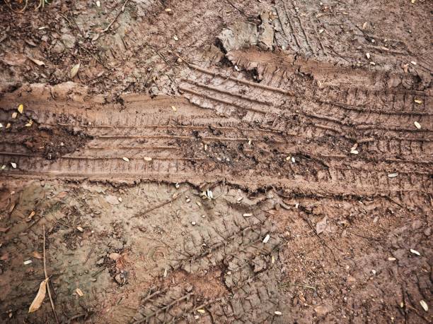 istock Wheel tracks on the soil 838749546