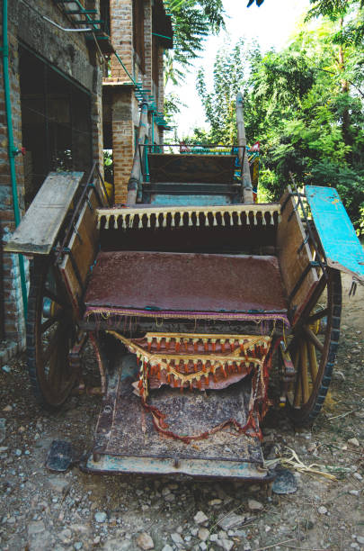 istock Horse Tanga 838761608