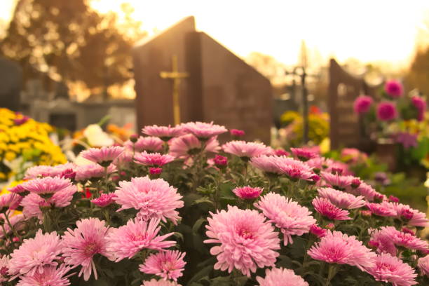 flores en un cementerio - cripta fotografías e imágenes de stock