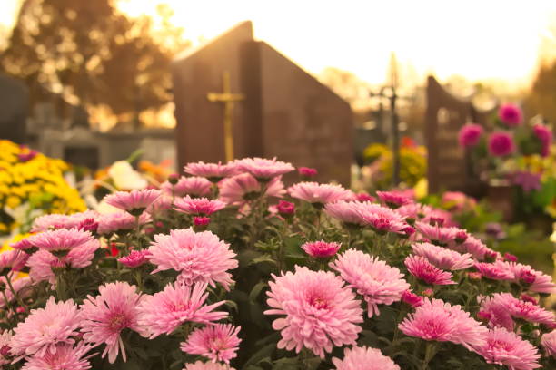 fiori su un cimitero - tomba foto e immagini stock