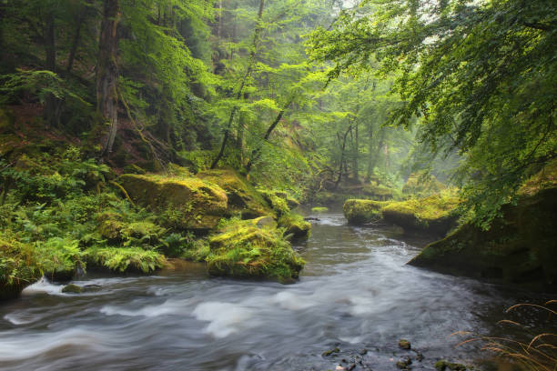 istock The Czech-Saxon Switzerland. 838772946