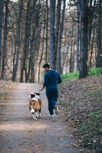 istock Couple and dog in park 838779156