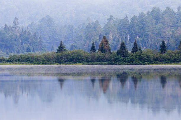 istock Mauricie national park 838780098